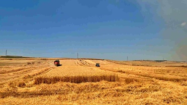 Tekirdağ'da Tarla Yangını: Çiftçiler Zamanla Yarıştı