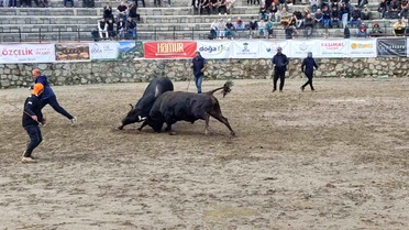 Ayder Şenliği Sağanakta Başladı
