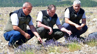Balıkesir'de Kumluca Bal Ormanı İncelemesi