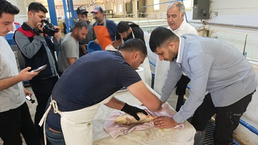 Keban'da 15 Milyon Sazan Yavrusu Üretimi Hedefleniyor
