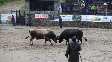 Ayder Festivalinin 30. Yılı Kutlandı