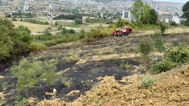 Samsun Valiliği'nden Yaz Uyarıları