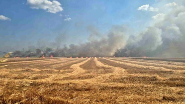 Tekirdağ'da 2 farklı noktada çıkan yangın söndürüldü: 700 dönümlük alan ve 20 konteyner kül oldu