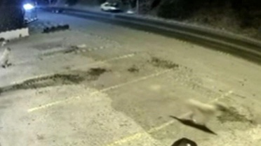 Bodrum'da Trafik Kazası: 2 Ölü