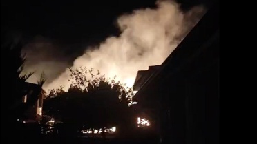 Cunda Adası'ndaki orman yangını kontrol altına alındı