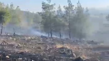 Gaziantep'te Orman Yangını Kontrol Altına Alındı