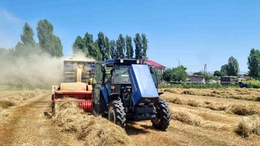 Hasköy'de Saman Mesaisi Devam Ediyor