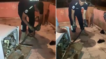 Bulaşık makinesine giren 2 metrelik karayılan evdekilere kabusu yaşattı