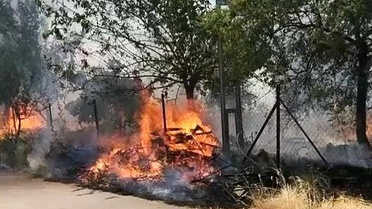 Adıyaman'da Orman Yangını Korkuttu