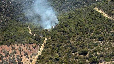 Milas'ta Makilik Alanda Yangın Çıktı