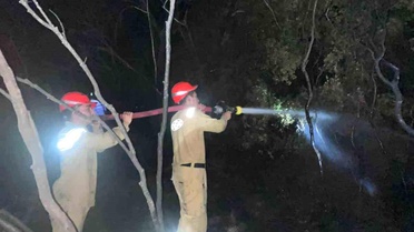 Dalaman'da Orman Yangını Kısa Sürede Söndürüldü