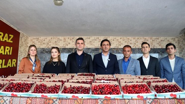 Selendi'de kirazın en iyisi seçildi