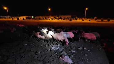 Siirt'te Rögar Suyu Zehirledi!