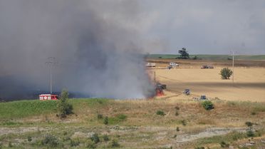 Tekirdağ'da yangın, 100 dekar buğday alanı yandı