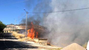 Karga Elektrik Akımına Kapıldı, Bahçe Yangını Çıktı