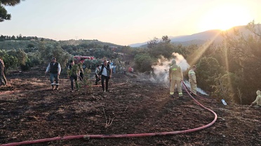 Bilecik'te Orman Yangını Kontrol Altında