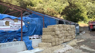 Bursa'da ormana sıçrayan yangın kontrol altına alındı