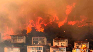 Dikili'de Tarım Arazisindeki Yangın Kontrol Altına Alındı