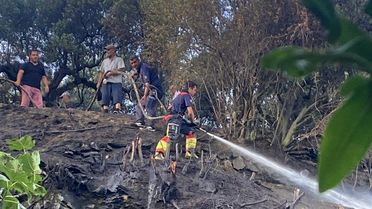 Marmara'da çıkan ot yangını ormana sıçramadan söndürüldü