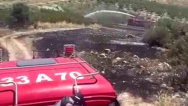 Mersin'de 6 dekar bahçe yangında zarar gördü
