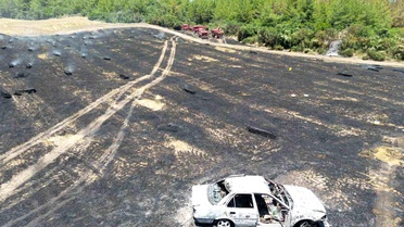 Adana'da otomobil yangını ormanı tehdit ediyor