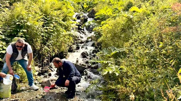 Uzungöl'e 15 Bin Yavru Alabalık Salındı