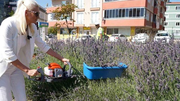 60 ülkeden 381 proje arasında Bilecik ve İstanbul yer aldı