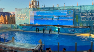 Antalya'da Koruyucu Aile Günü Etkinliği