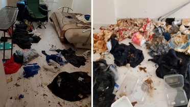 Komşuları başka semtlere kaçırdı! Daireden çıkan manzara şoke etti