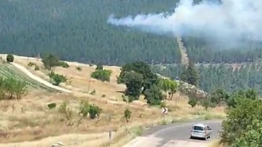 Bursa'nın Orhaneli ilçesinde orman yangını