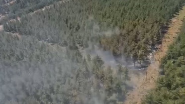 Yörükler'de Orman Yangınına Hızlı Müdahale