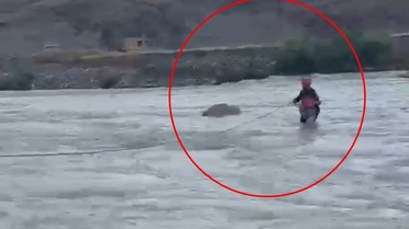 Siirt'te Mahsur Kalan Çocuk Kurtarıldı