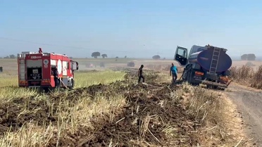 Tekirdağ'da yaklaşık 300 dönüm alan yandı