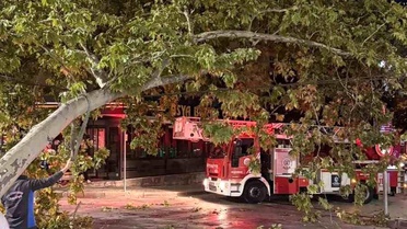 Tramvay hattına düşen dal seferleri aksattı