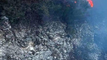 Yayladağı'nda ormanlık alanda çıkan yangın kontrol altına alındı