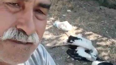 Çankırı'da Leylekler Öldü