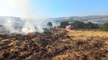 Bandırma'da buğday tarlasında çıkan yangın ekiplerin müdahalesiyle söndürüldü