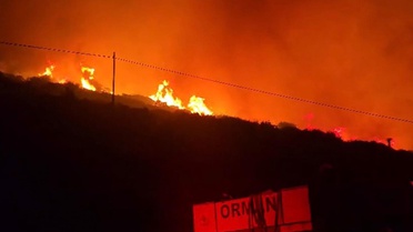 İzmir'de makilik alanda yangın