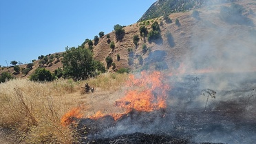 Diyarbakır'da örtü yangınıyla mücadele sürüyor