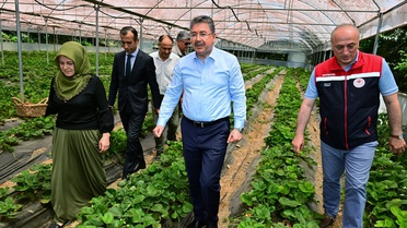 Vali Yılmaz, Sarıcakaya'da Seraları Ziyaret Etti