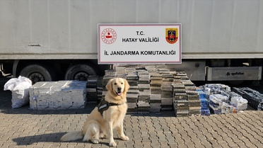 Kırıkhan'da 30 Bin Paket Kaçak Sigara Ele Geçirildi
