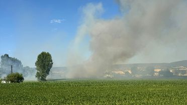 Taşköprü'de Yangın: 5 Dekar Buğday Alanı Zarar Gördü