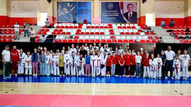 Bilecik'te Taekwondo Müsabakaları Düzenlendi