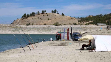 DENOLDER Carp Cup Başlıyor