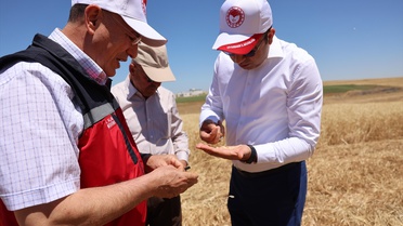 Diyarbakır'da Hasat Etkinliği