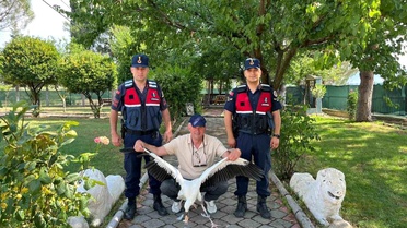 Yaralı leylek için seferber oldular