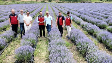 Çanakkale'de Lavanta Bahçesi İncelemesi