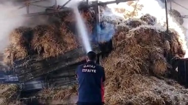 Reyhanlı'da Ahırda Yangın