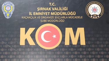 Cizre'de 13,2 milyon liralık altın ele geçirildi