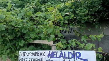 Eski başkandan helal dut ve üzüm yaprağı ilanı